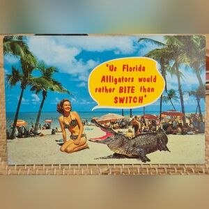 Vintage Florida Post Card